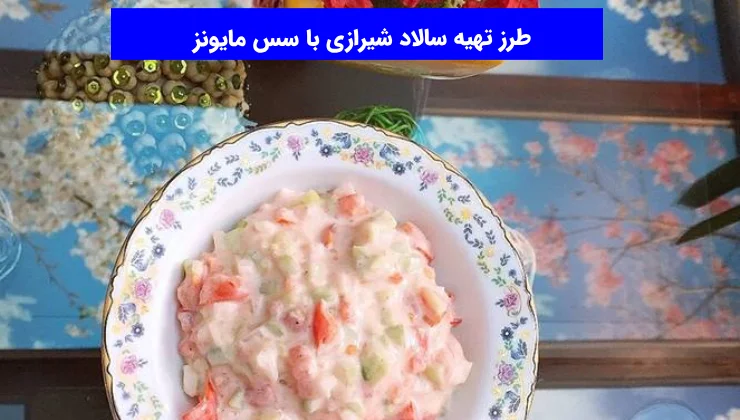 طرز تهیه سالاد شیرازی با سس مایونز